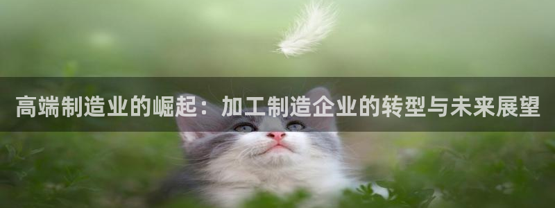彩名堂最新计划下载地址