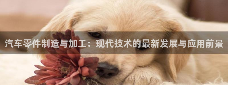 彩名堂官网网页计划