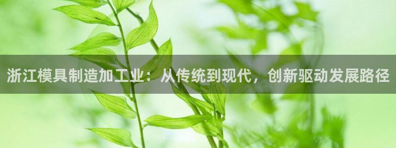 彩名堂计划怎么跟不挂