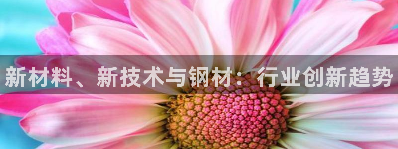 彩名堂为什么突然不能用了