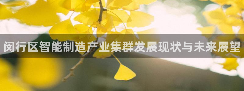 彩名堂合作655560