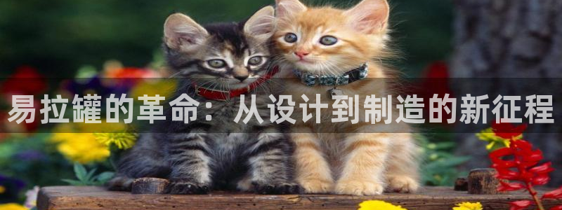 彩名堂移动客户端是什么