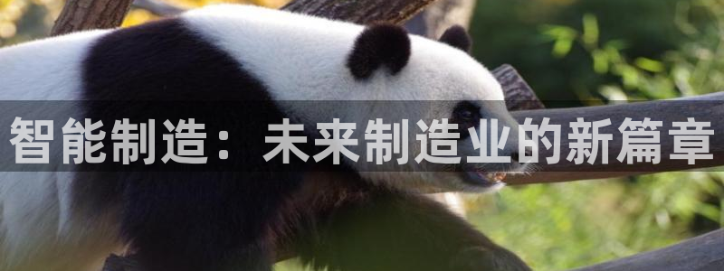 彩名堂官网谁有