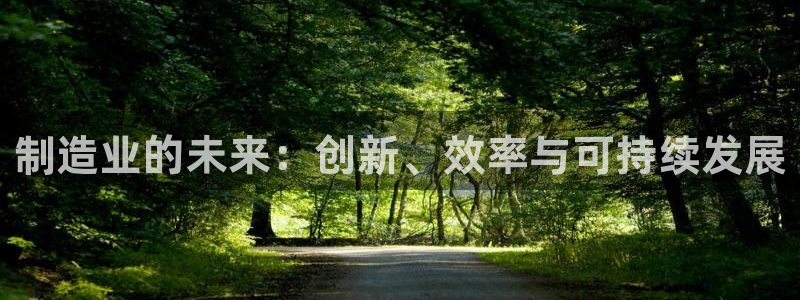 彩名堂不能用了吗