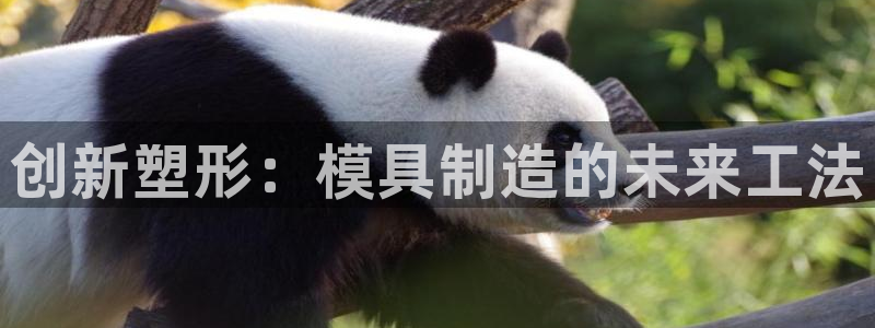 彩名堂免费计划软件下载