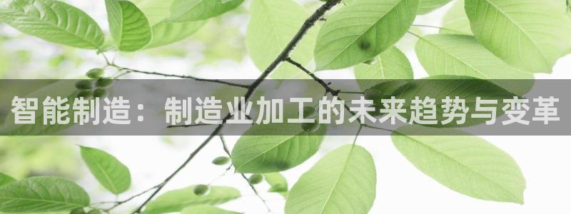彩名堂二维码