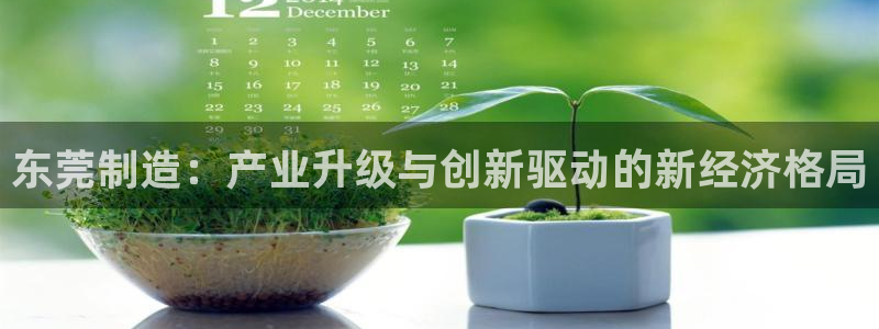 彩名堂5.0计划永久免费版为什么下不了