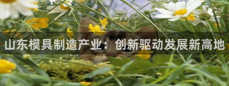 彩名堂app下载5.1.0