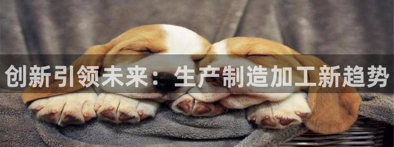 彩名堂计划技巧