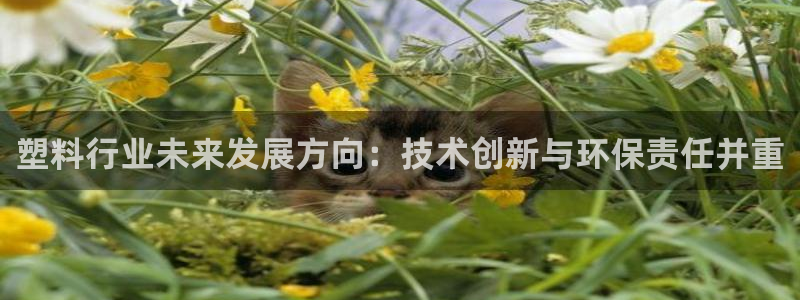 老版本彩名堂计划软件