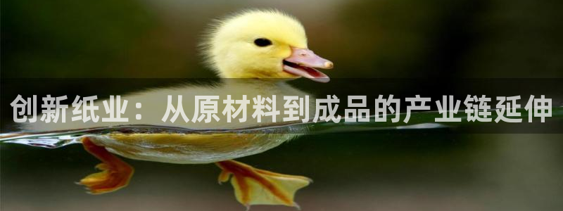 彩名堂全天计划