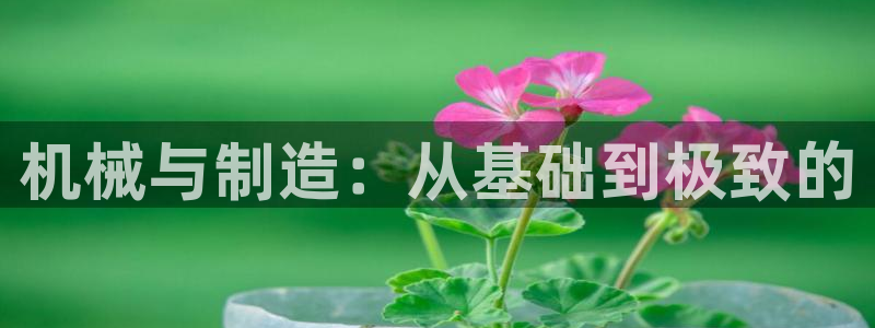 彩名堂为什么突然不能用了