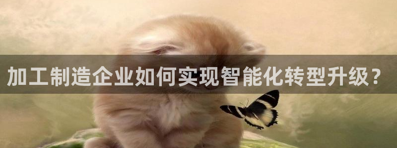 彩名堂怎么选稳定计划