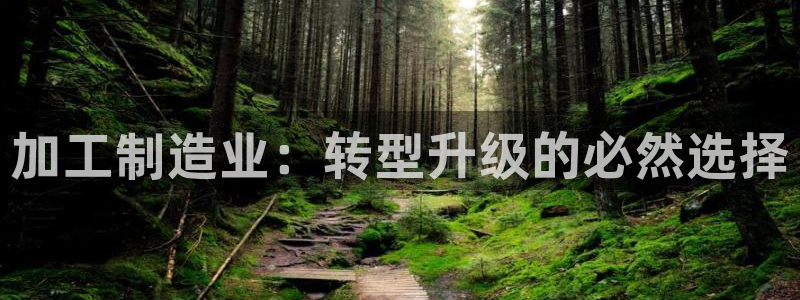 彩名堂怎么跟计划才不连挂在一起