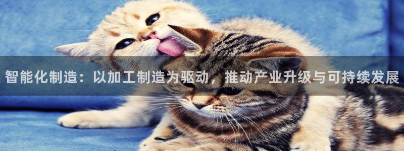 彩名堂免费计划官网5.0版下载链接