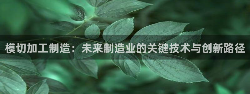 彩名堂免费计划客户端官网