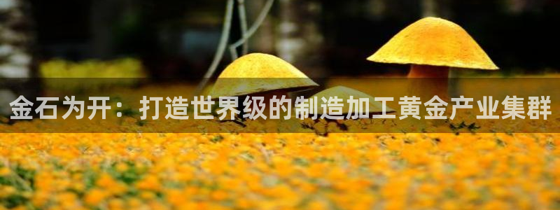 彩名堂免费计划5.0使用方法