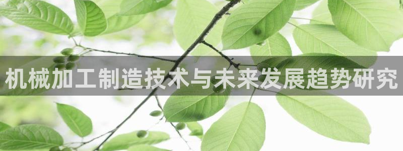 彩名堂一直不出结果怎么回事儿