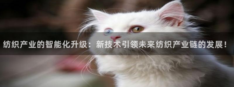 彩名堂计划怎么出的