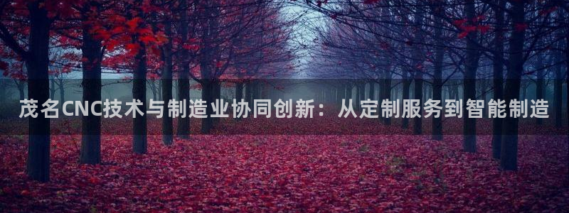 彩名堂官网计划怎么下载