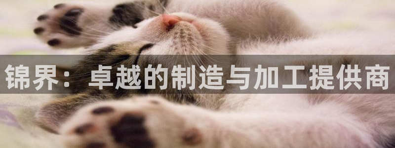 如何进入彩名堂官网更新