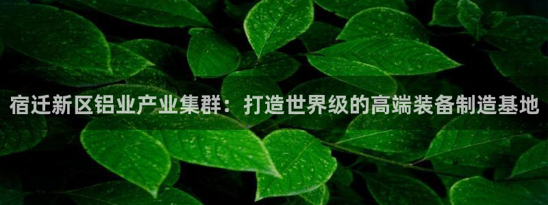 彩名堂官网计划客户端
