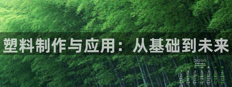 彩名堂3d