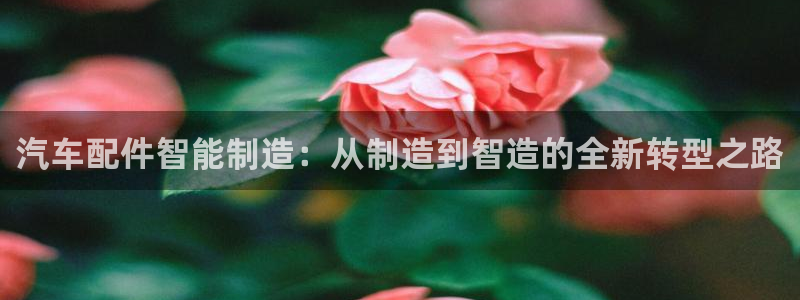 彩名堂双彩网