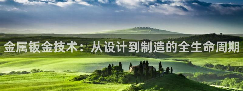 彩名堂官网网页计划