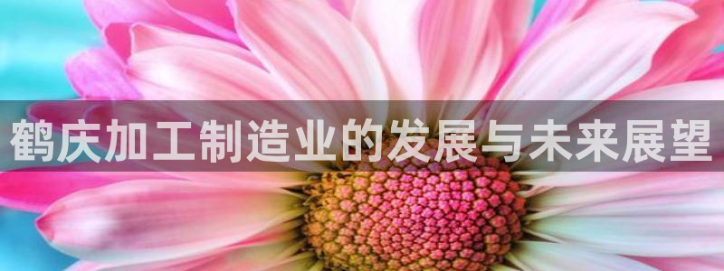 彩名堂计划怎么跟,为什么我一跟就挂