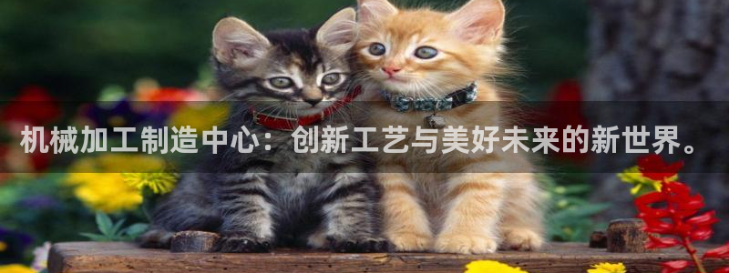 彩名堂最新计划app下载