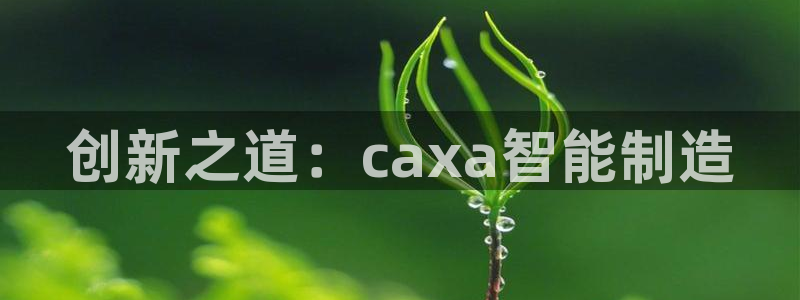 彩名堂改名稻草人了吗