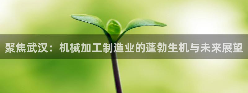 彩名堂怎么用不了了