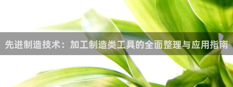 彩名堂手机版官网
