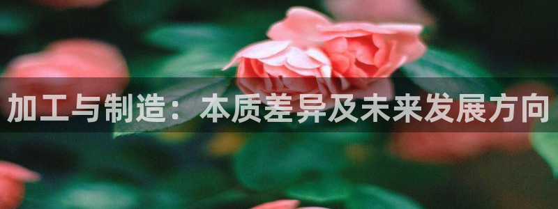 彩名堂计划技巧
