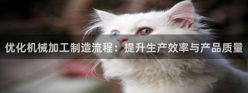 彩名堂预测软件