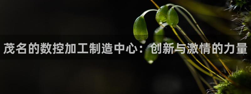 老版彩名堂