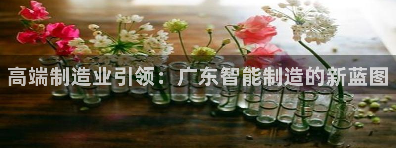 彩名堂官网客户端