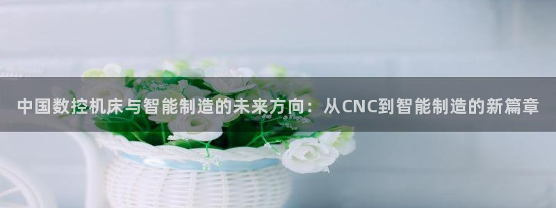 彩名堂图片