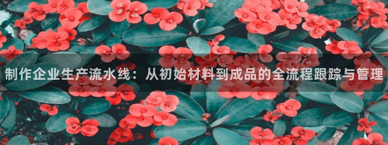 彩名堂平台