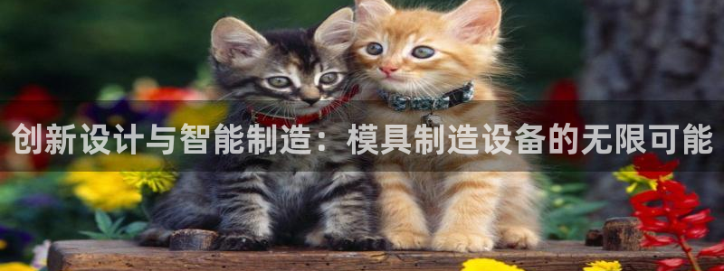 彩名堂人工预测免费计划