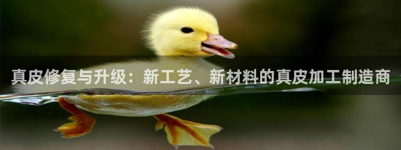 彩名堂安卓客户端官网